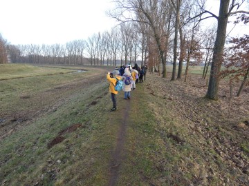 Spacer po Sieradzu w ramach Zimowego Ptakoliczenia 2025, 